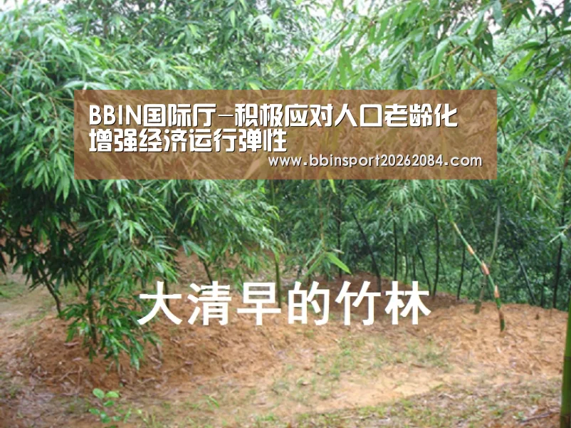 BBIN电竞